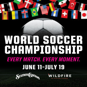 Flyer: World Soccer Championship