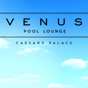 Flyer: Winter Swim at Venus