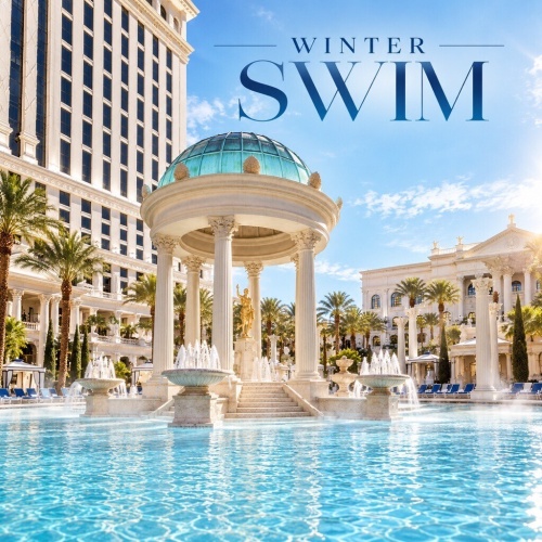 Winter Swim at Garden of the Gods - Flyer