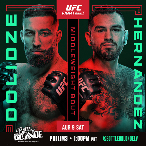 Fight Night: Dolidze vs Hernandez - Flyer