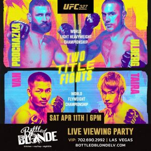 Flyer: Procházka VS Ulberg