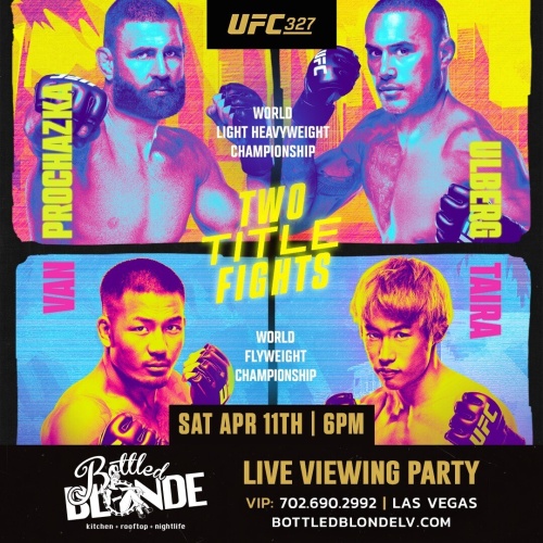 Procházka VS Ulberg - Flyer