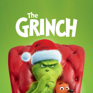 Flyer: Oasis Ice Rink