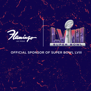 Flyer: Super Bowl LVIII