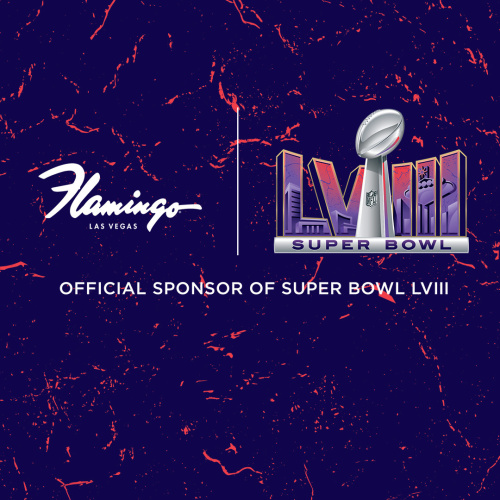 Super Bowl LVIII - Flyer