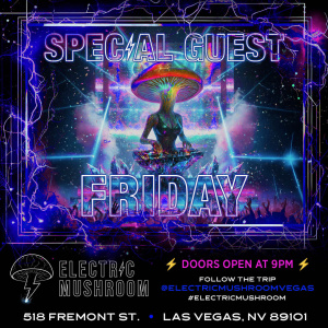 Flyer: Electric Mushroom