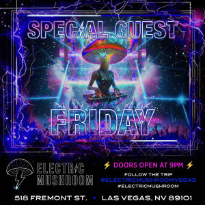 Flyer: Electric Mushroom