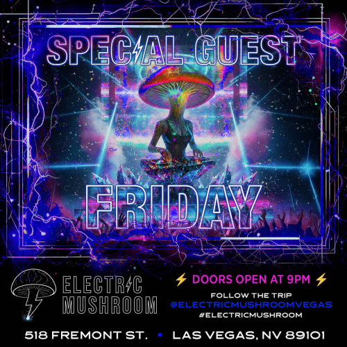 Electric Mushroom - Flyer