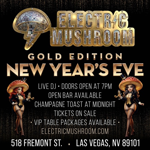 Electric Mushroom - Flyer