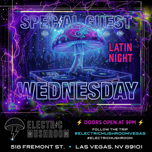 Electric Mushroom - Flyer