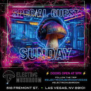 Flyer: Electric Mushroom