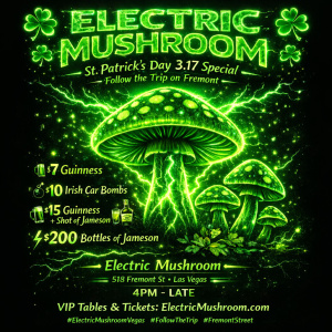 Flyer: Electric Mushroom St. Patrick