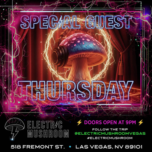 Electric Mushroom - Flyer