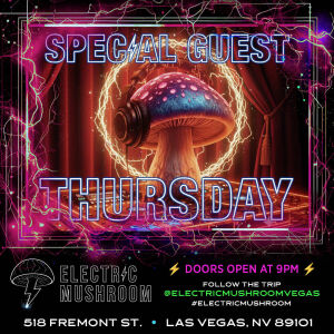 Flyer: Electric Mushroom