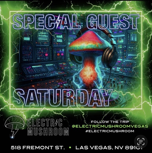 Electric Mushroom - Flyer
