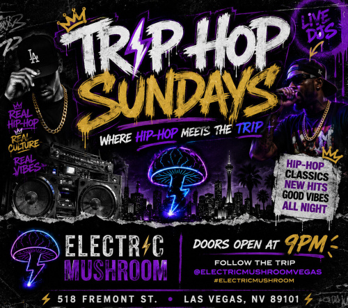 Electric Mushroom - Flyer