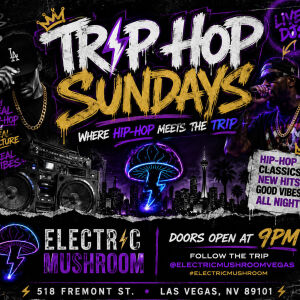Flyer: Electric Mushroom