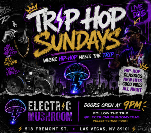 Flyer: Electric Mushroom