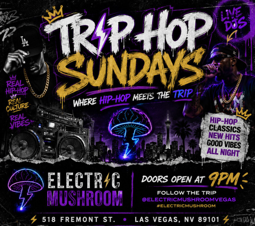Electric Mushroom - Flyer