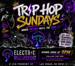 Flyer: Electric Mushroom