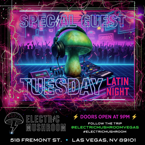Electric Mushroom - Flyer