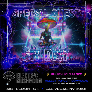 Flyer: Electric Mushroom