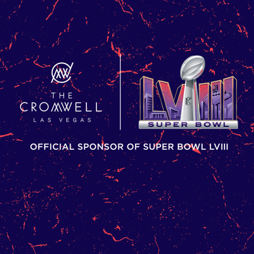 Super Bowl LVIII - Flyer