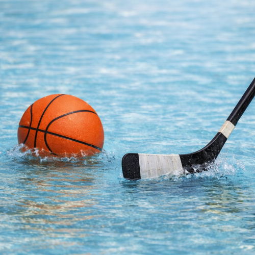 PRO BASKETBALL & HOCKEY PLAYOFF VIEWING PARTIES - Flyer