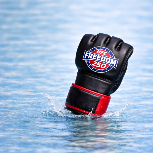 UFC FREEDOM 250 VIEWING PARTY - Flyer