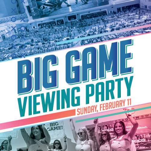 Big Game Viewing Party - Flyer