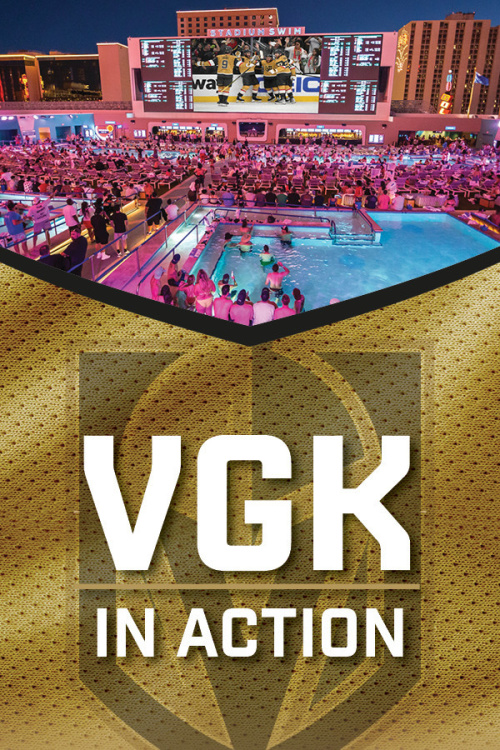 VGK IN ACTION - Flyer