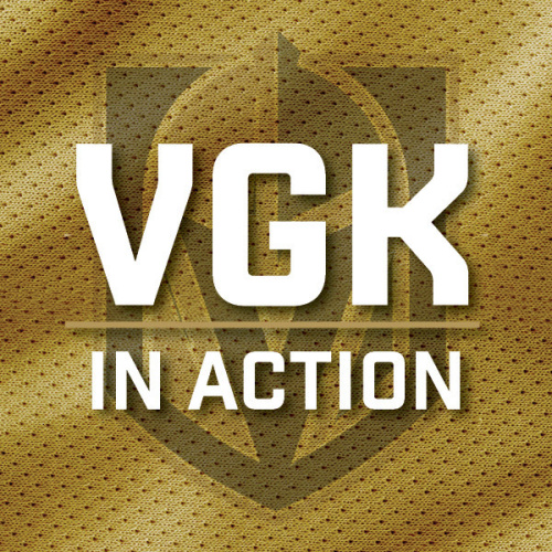 VGK IN ACTION - Flyer