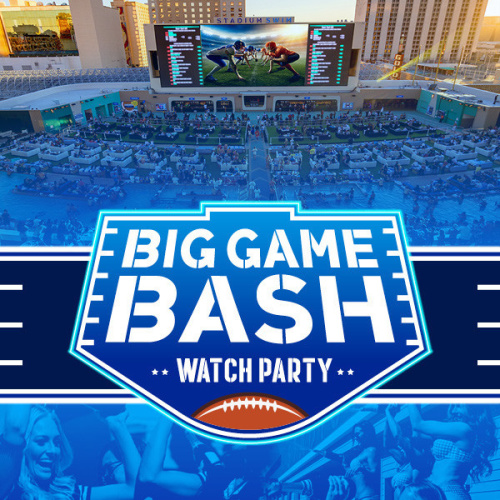 The Big Game - Flyer