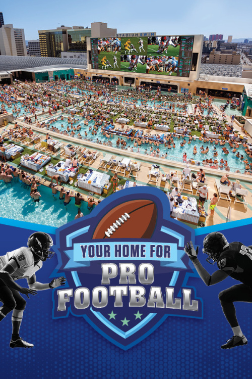 Your Home For Pro Football - Stadium Swim