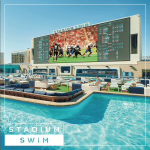 Flyer: Weekdays at Circa Stadium Swim