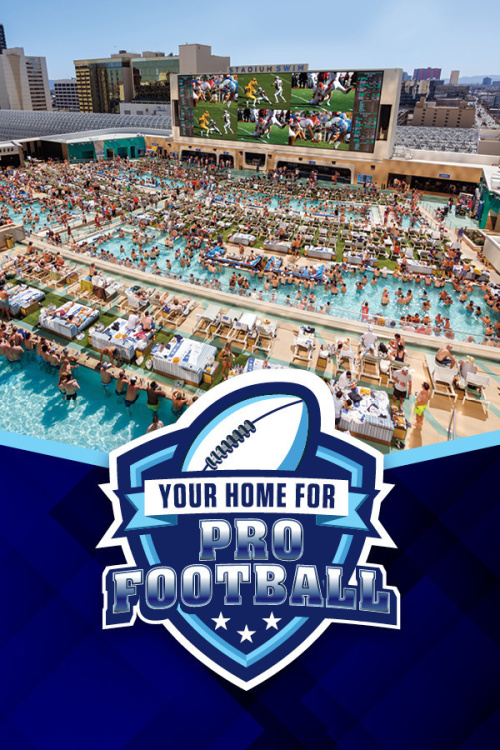 Your Home For Pro Football - Stadium Swim