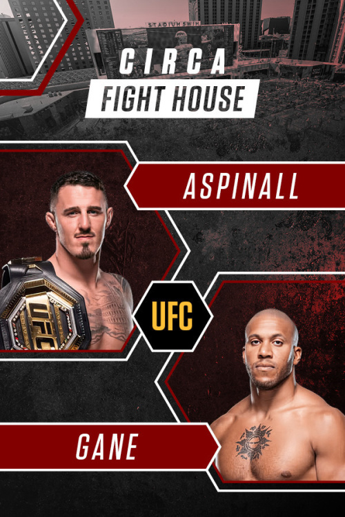 Circa Fight House at Stadium Swim - Flyer