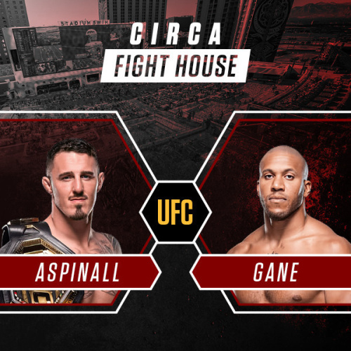 Circa Fight House at Stadium Swim - Flyer