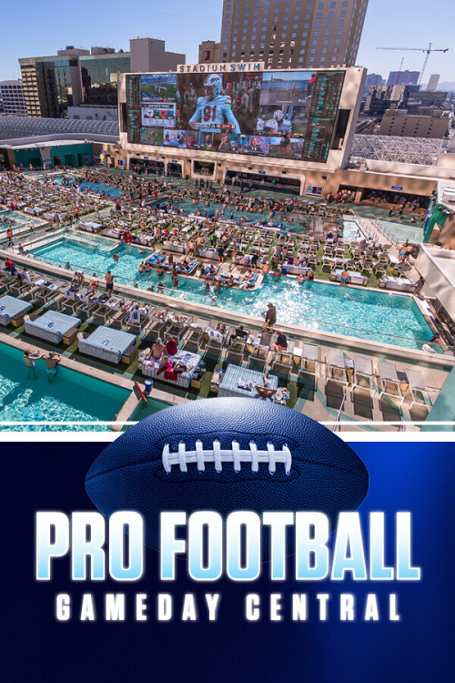 Pro Football at Stadium Swim - Flyer