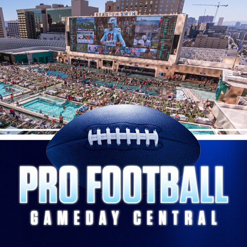 Pro Football at Stadium Swim - Flyer