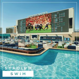 Flyer: Weekends at Circa Stadium Swim