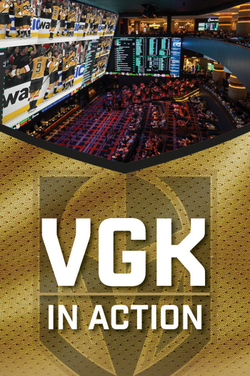 VGK IN ACTION - Flyer
