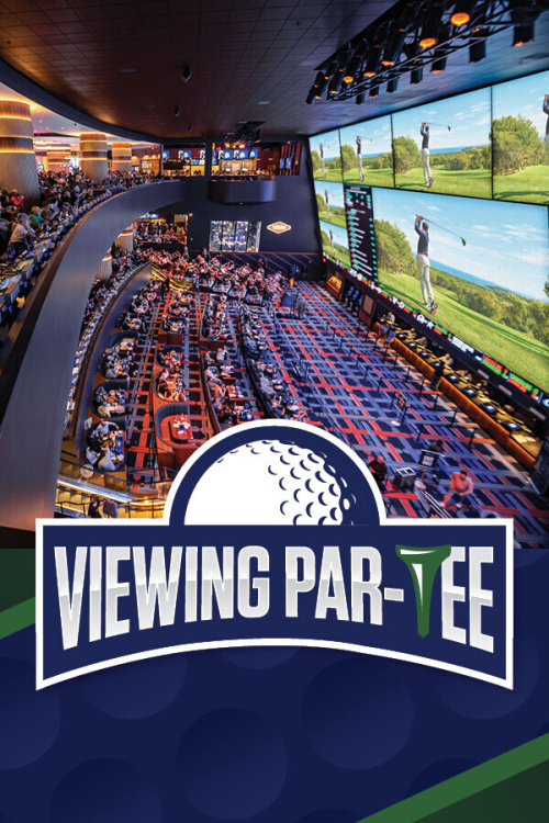 Viewing Par-Tee - Flyer