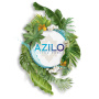 flyer - AZILO ULTRA POOL TUESDAY