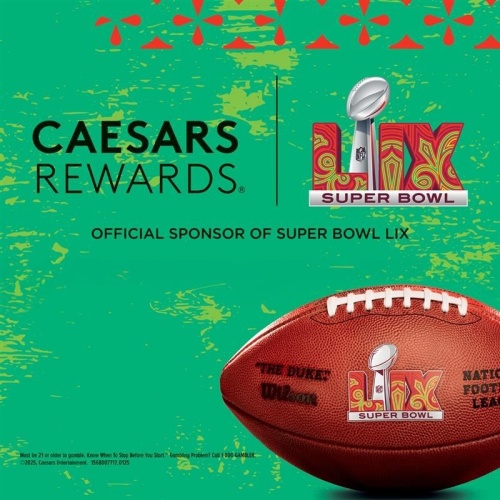 Super Bowl LIX - Flyer