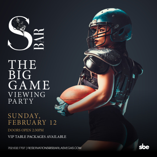 The Big Game Viewing Party - Flyer