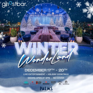 Flyer: LADIES FIRST - WINTER WONDERLAND