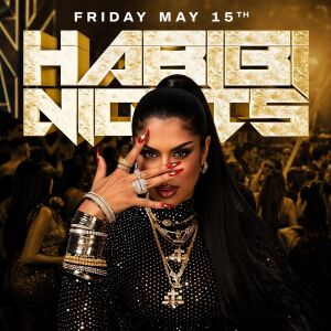 Flyer: Habibi Nights