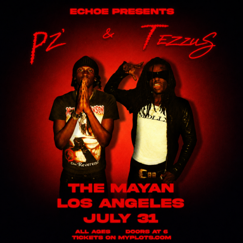 PZ & Tezzus Live Performance - Flyer