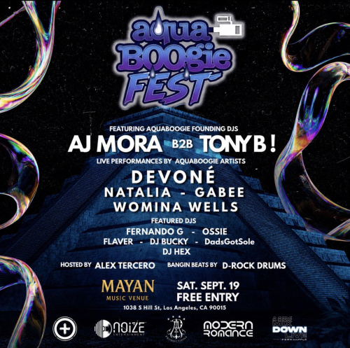 Aqua Boogie Fest - Flyer